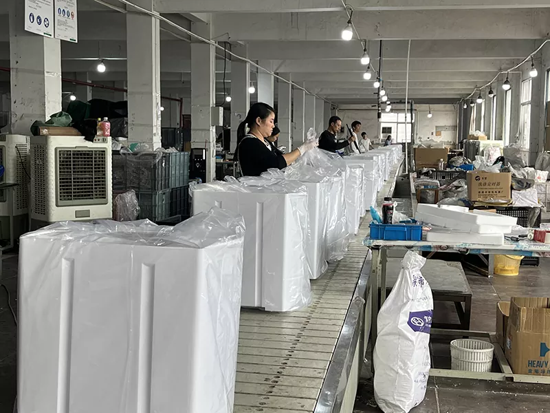 DC Semi Automatic Washing Machine